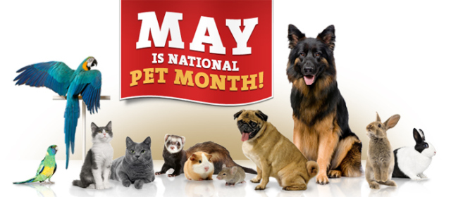 National Pet Month 2019
