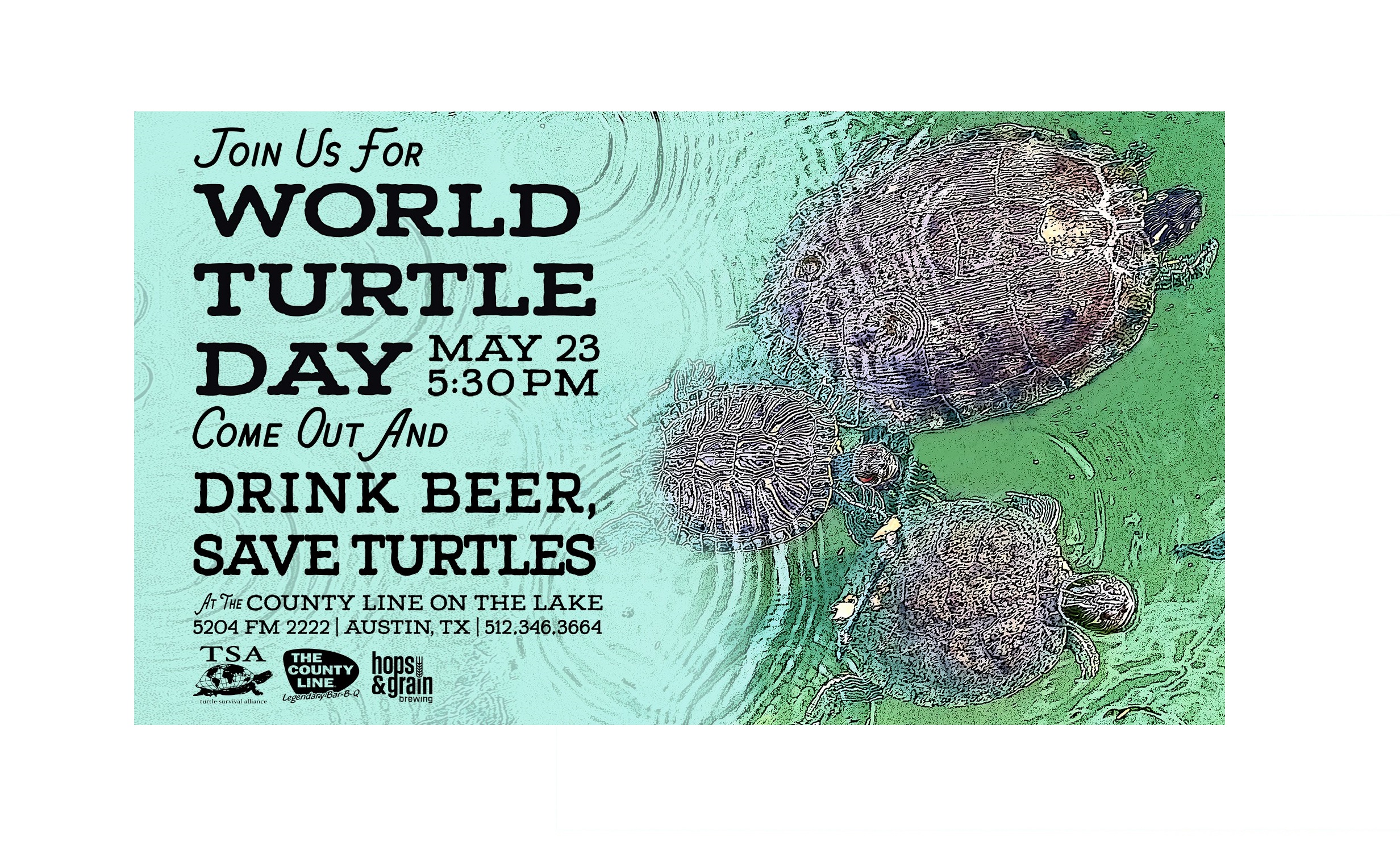 World Turtle Day