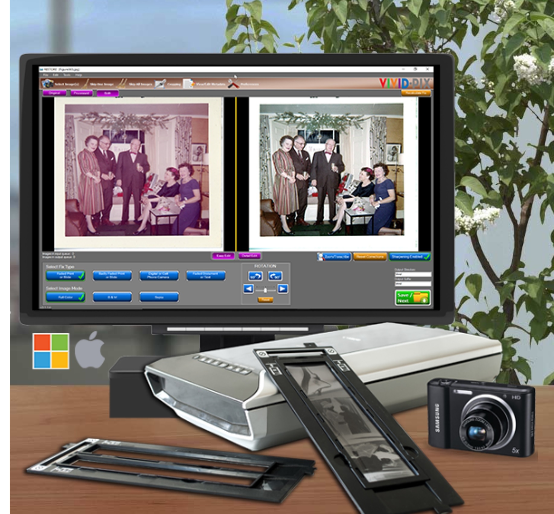 VIVID PIX FEATURE