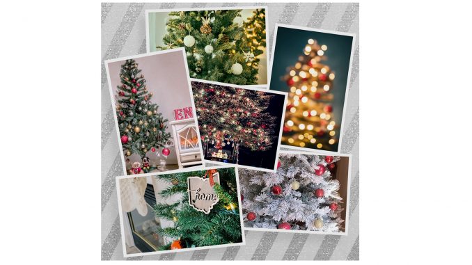 Gallery Collection Holiday Contest Border