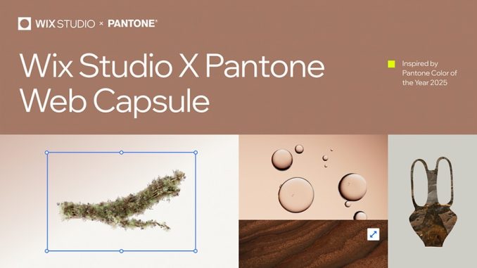 pantone 3